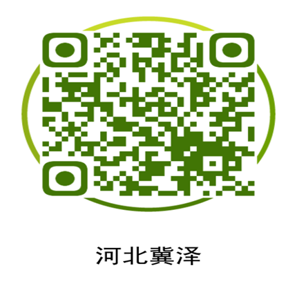 ca88官网